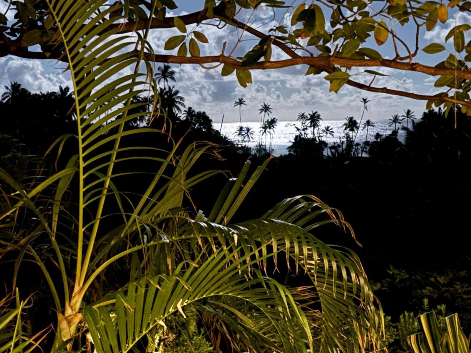 Hotel Firefly Estate Bequia Crescent Beach Exteriér fotografie