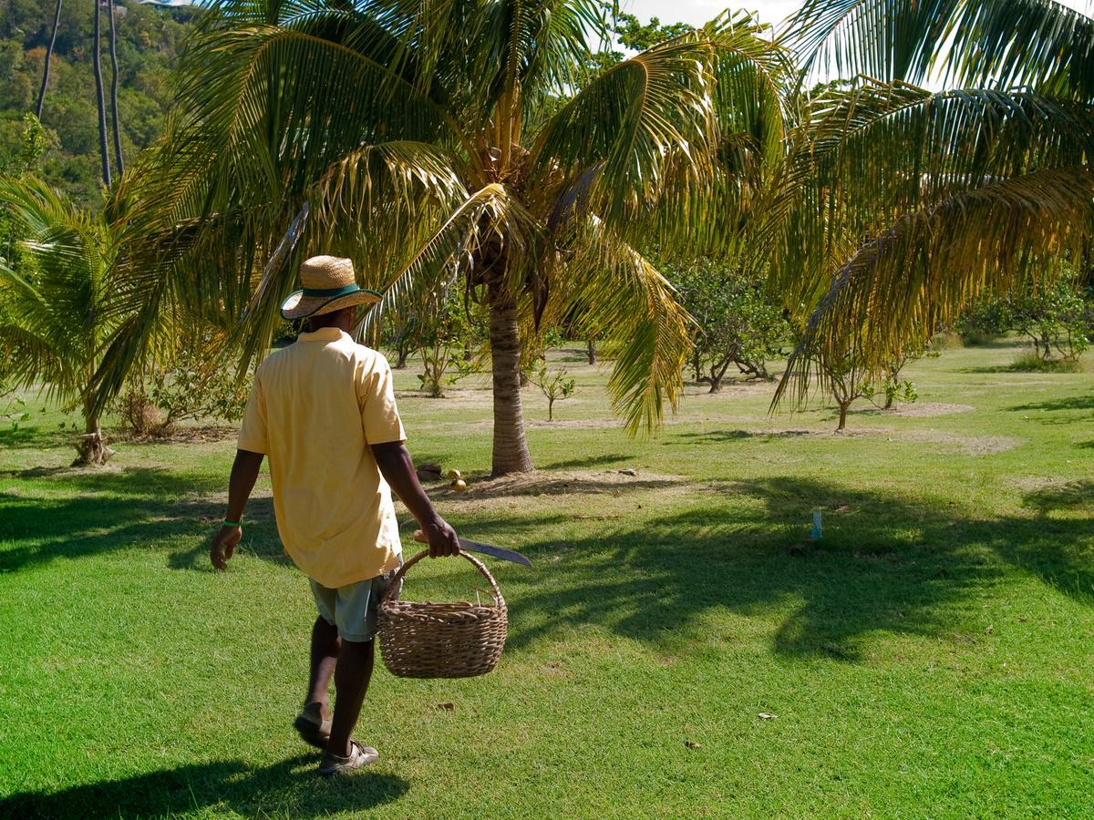 Hotel Firefly Estate Bequia Crescent Beach Exteriér fotografie