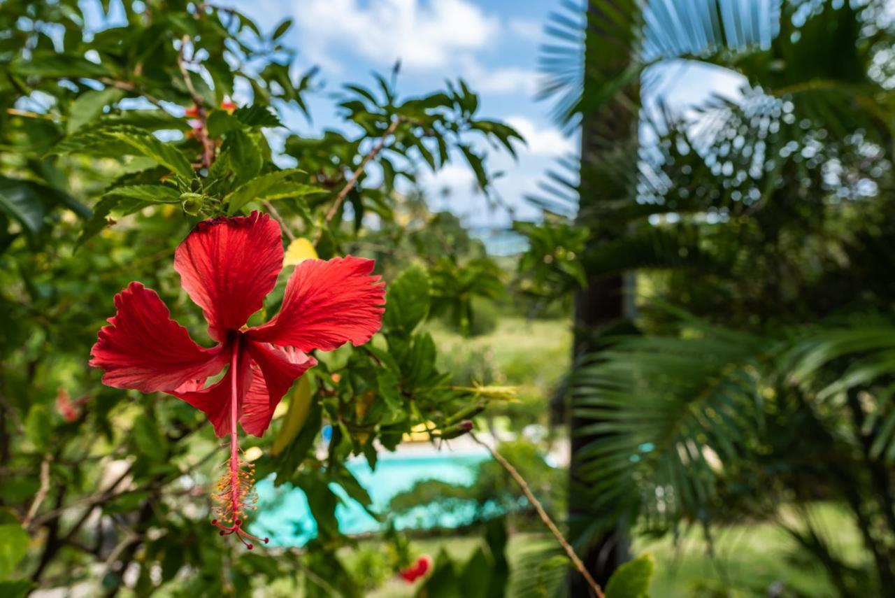 Hotel Firefly Estate Bequia Crescent Beach Exteriér fotografie